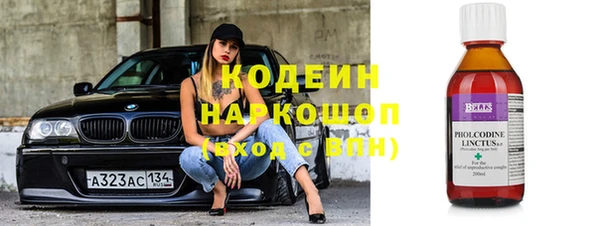 молекула духа Бородино