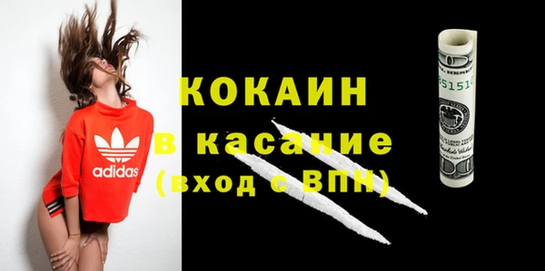 прущие грибы Богородицк