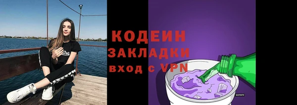 молекула духа Бородино
