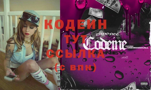 молекула духа Бородино