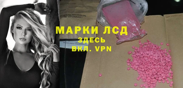 молекула духа Бородино