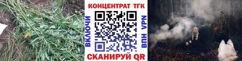 ТГК вейп с тгк закладки Новосибирск