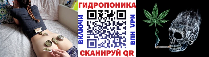 Конопля Amnesia Новосибирск